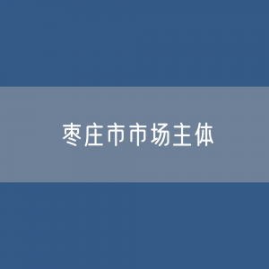 枣庄市有多少市场主体？