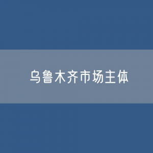 最新乌鲁木齐市场主体登记数据：有多少市场主体？