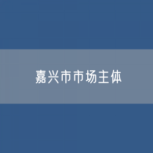 嘉兴市有多少市场主体？