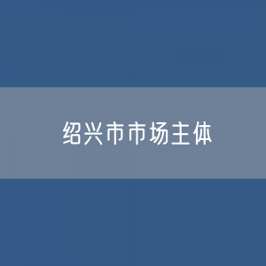 绍兴市有多少市场主体？