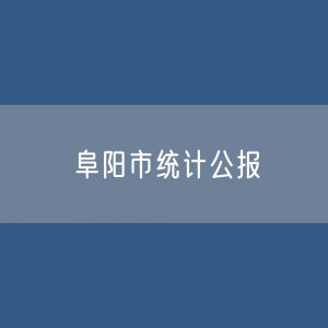 阜阳市2022年国民经济和社会发展统计公报