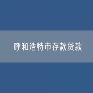 呼和浩特市存款、贷款是多少？