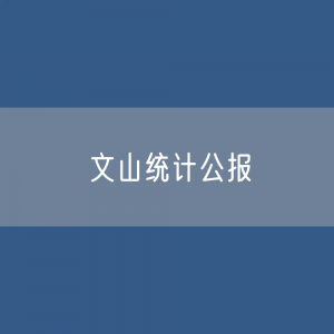 文山壮族苗族自治州2022年国民经济和社会发展统计公报