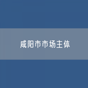 最新咸阳市市场主体登记数据：咸阳市有多少市场主体？