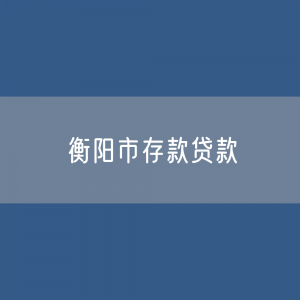 衡阳市存款、贷款是多少？