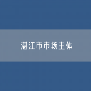 最新湛江市市场主体登记数据：湛江市有多少市场主体？