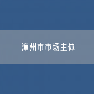 漳州市有多少市场主体？