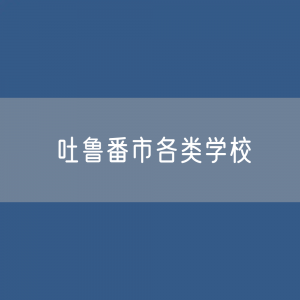 吐鲁番市各类学校招生、在校生、毕业生数据