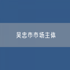 最新吴忠市市场主体登记数据：吴忠市有多少市场主体？