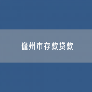 儋州市存款、贷款余额是多少？