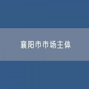 最新襄阳市市场主体登记数据：襄阳市有多少市场主体？