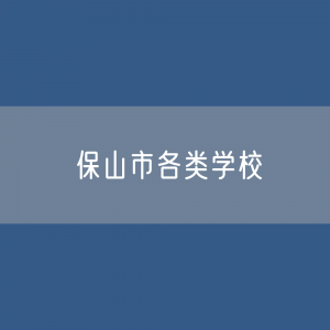 保山市各类学校招生、在校生、毕业生数据