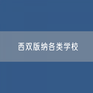 西双版纳各类学校招生、在校生、毕业生数据