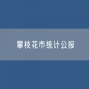 攀枝花市2023年国民经济和社会发展统计公报