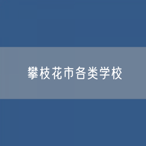 攀枝花市各类学校招生、在校生、毕业生数据