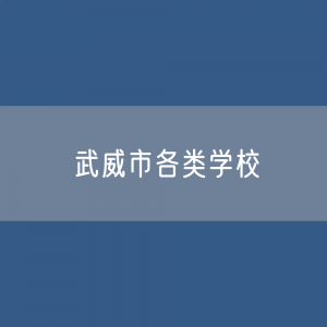 武威市各类学校招生、在校生、毕业生数据