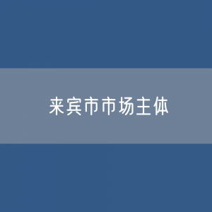 最新来宾市市场主体登记数据：来宾市有多少市场主体？