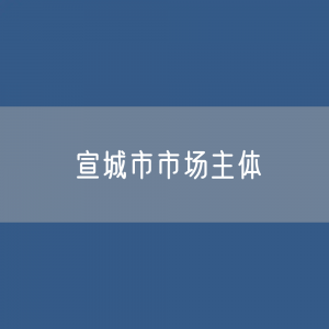 最新宣城市市场主体登记数据：宣城市有多少市场主体？