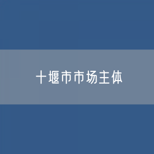 最新十堰市市场主体登记数据：十堰市有多少市场主体？