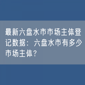 最新六盘水市市场主体登记数据：六盘水市有多少市场主体？