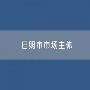 最新日照市市场主体登记数据：日照市市有多少市场主体？