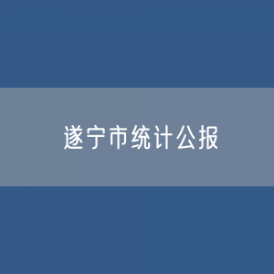 2022年遂宁市国民经济和社会发展统计公报