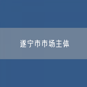 最新遂宁市市场主体登记数据：遂宁市有多少市场主体？