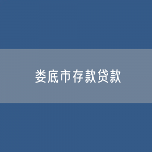 娄底市存款、贷款余额是多少？