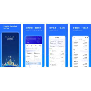 招商银行（企业版-新加坡）app主要功能有哪些？