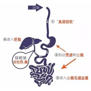 转载：茶叶发挥保健和药理作用的物质都有哪些？