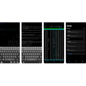 Terminal APP下载安装使用功能