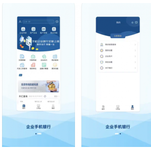 龙江银行企业手机银行APP使用功能
