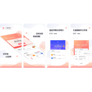 湖北晓峰金融小鱼儿APP-现金分期信用借钱软件