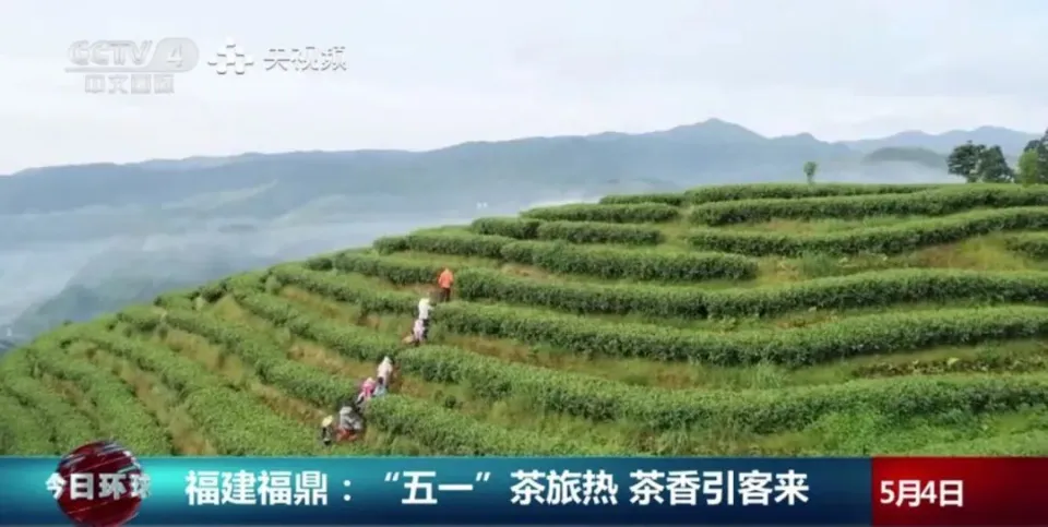 微信图片_20250508161447.png